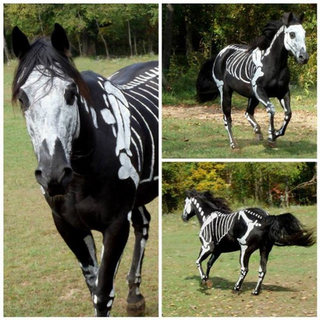 Illustration for article titled The Very Best Halloween Costumes on the Internet